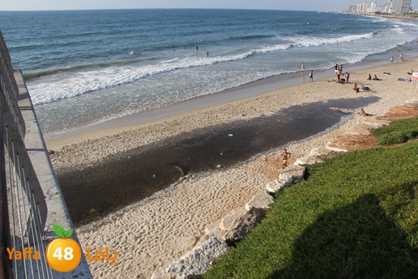 nakhom goldman majary (6).JPG